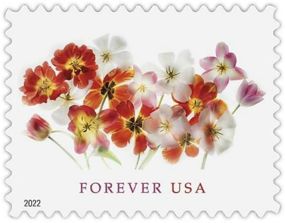 (2022) US Tulips Forever First Class Postage Stamps