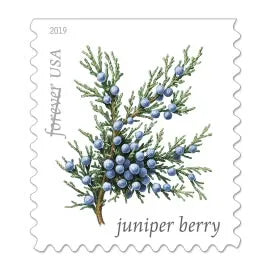 (2019) Winter Berries First Class Forever Postage Stamps