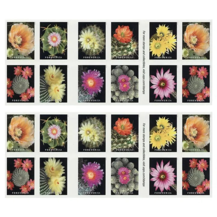 (2019) Cactus Flowers Forever First Class Postage Stamps