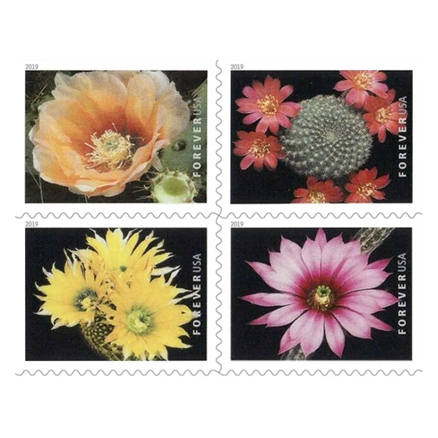 (2019) Cactus Flowers Forever First Class Postage Stamps