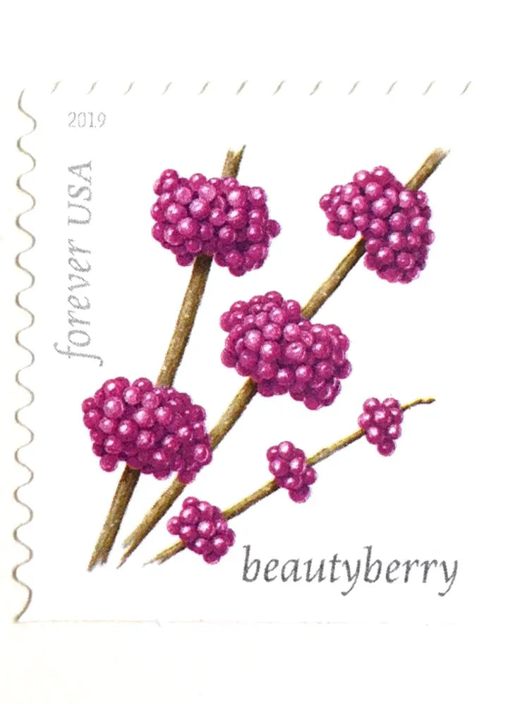 (2019) Winter Berries First Class Forever Postage Stamps