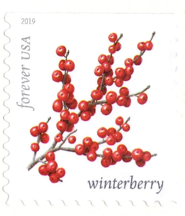 (2019) Winter Berries First Class Forever Postage Stamps