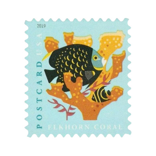 (2019) Coral Reefs Postcard First Class Forever Postage Stamps