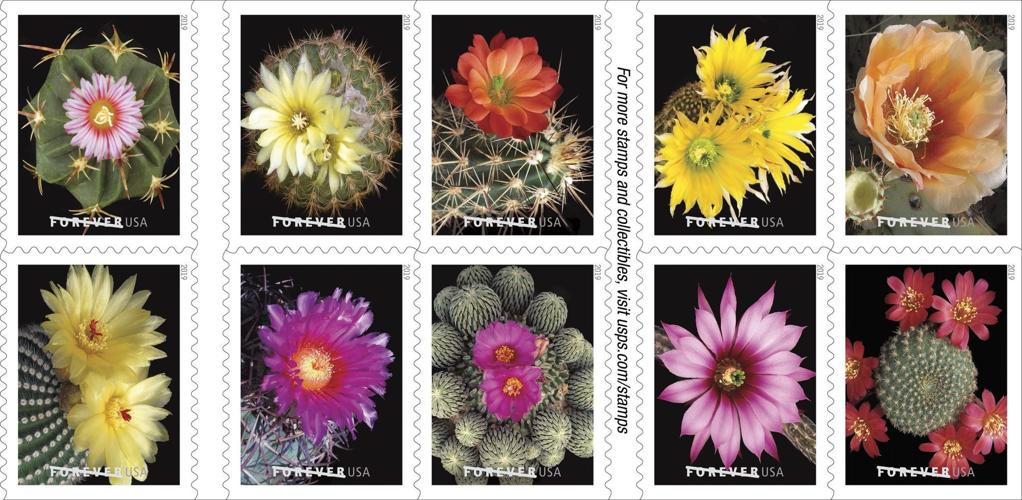 (2019) Cactus Flowers Forever First Class Postage Stamps